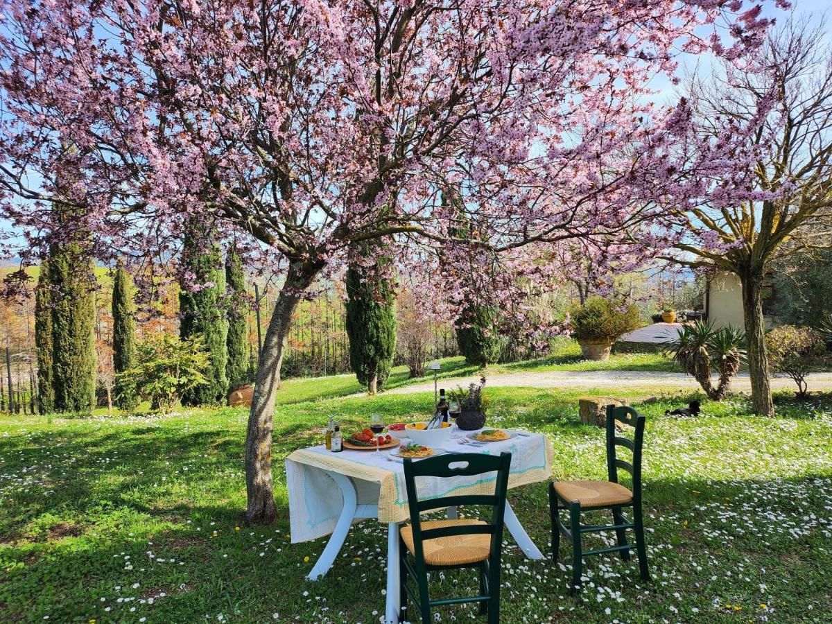 Agriturismo Lucertola Montecatini Val di Cecina Exteriör bild