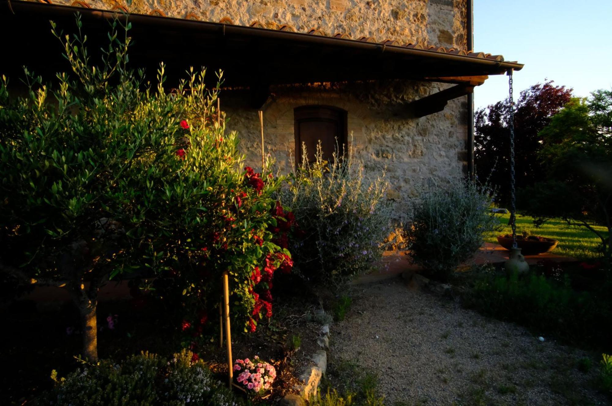 Agriturismo Lucertola Montecatini Val di Cecina Rum bild